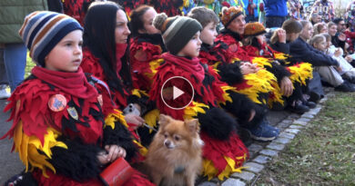 Die Waldhexen erwachen in Hohenacker, https://www.regio-tv.de/mediathek/video/die-waldhexen-erwachen-in-hohenackern/